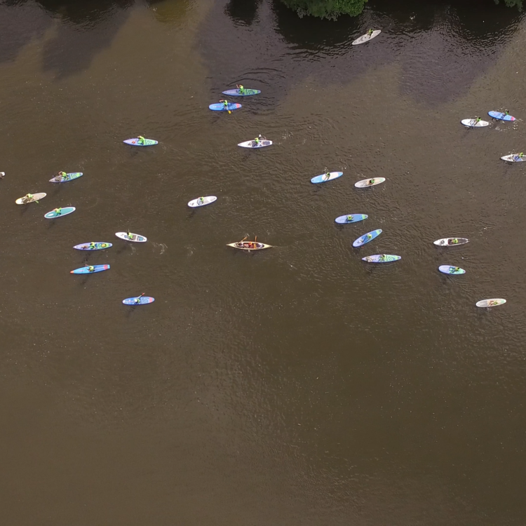 Get on Board 2019 - Paddleboarding event in Richmond